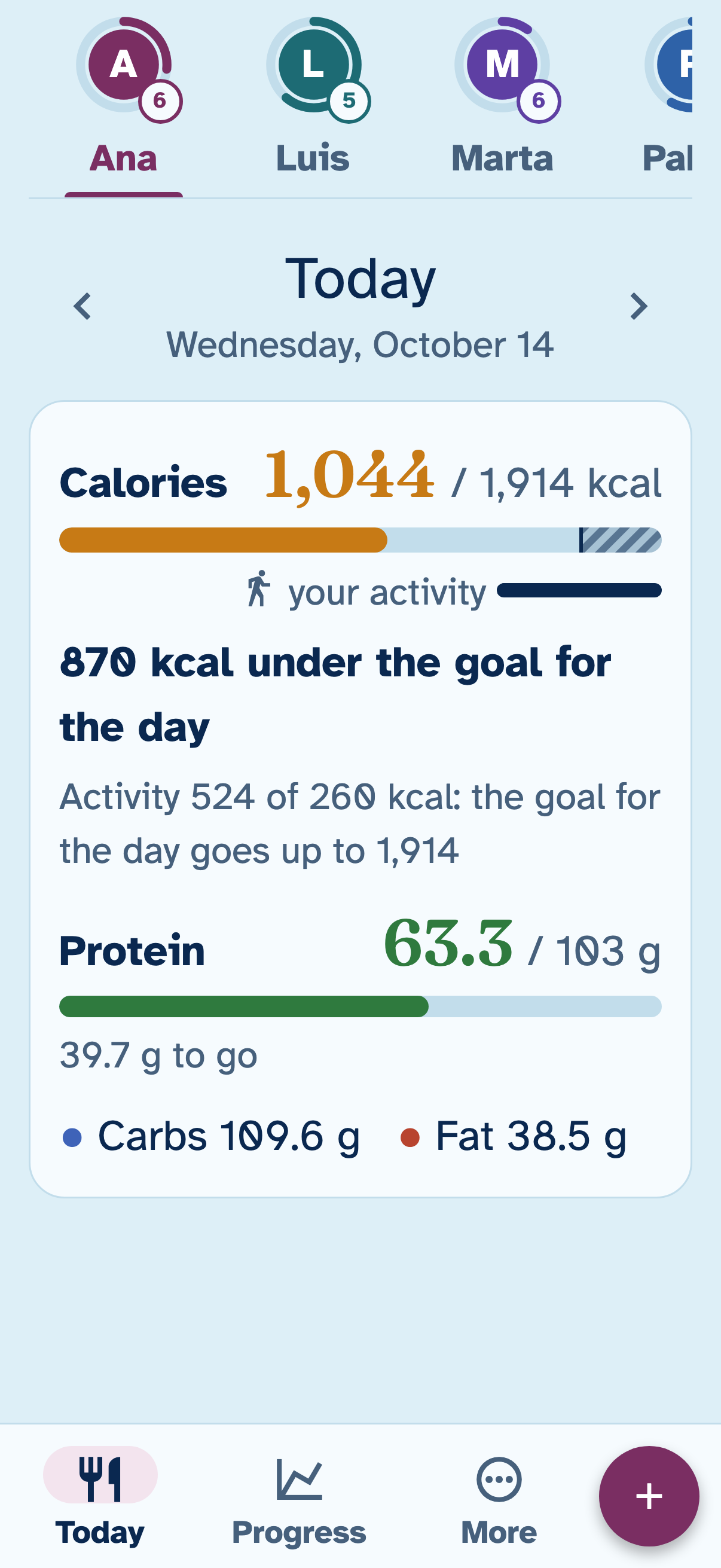 The same screen with large text: Ana's summary for the day, 1,044 of 1,914 kcal and 63.3 of 103 g of protein.